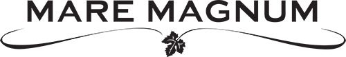 Mare Magnum logo
